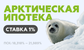 Новостройка Архангельск